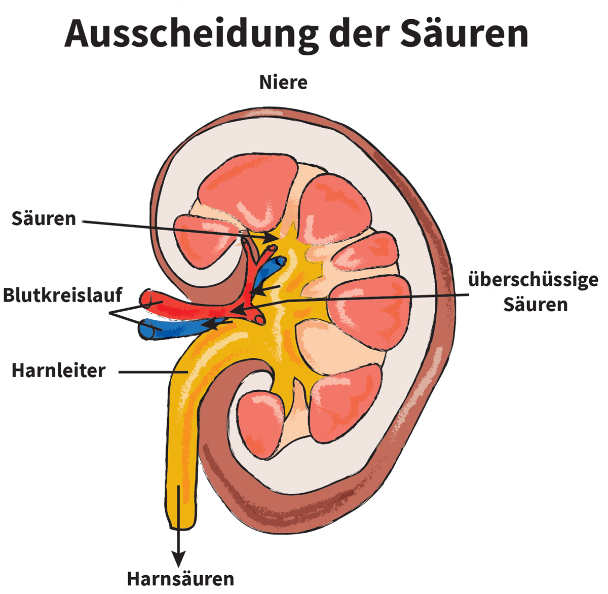 Warum entsÃ¤uern?
